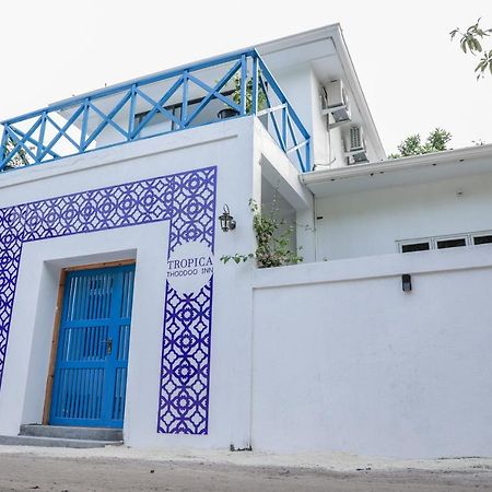 Tropica Thoddoo Inn, Maldives Exterior foto